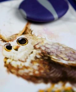 Best Pirce ๐งจ Plan B Games Equinox ๐ฅฐ 7 Plan B Games Equinox