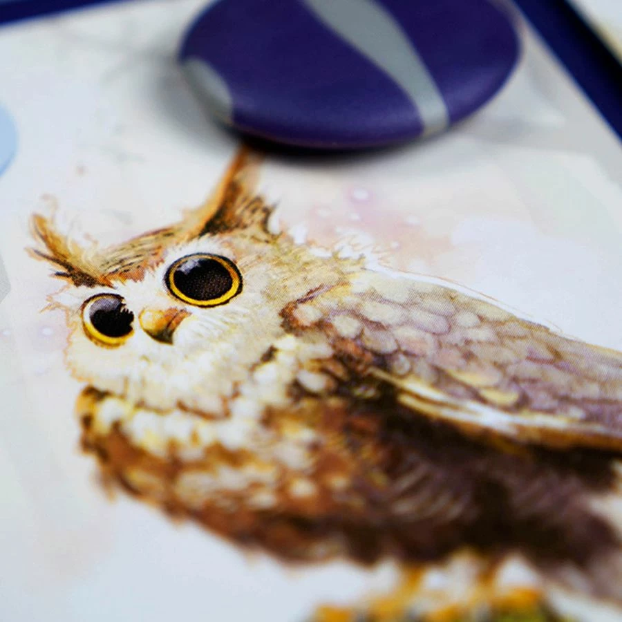 Best Pirce ๐งจ Plan B Games Equinox ๐ฅฐ 3 Plan B Games Equinox