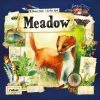 Rebel Studio Meadow Card Games