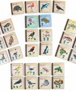 Artana On The Origin Of Species Strategy Games